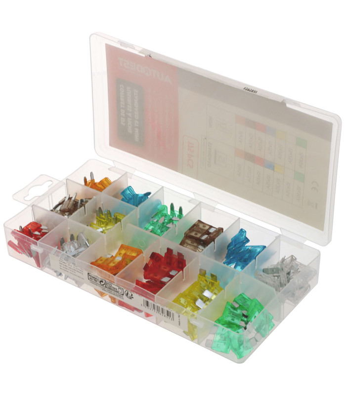 COFFRET 175 FUSIBLES A FICHE, STANDARDS ET MINIS