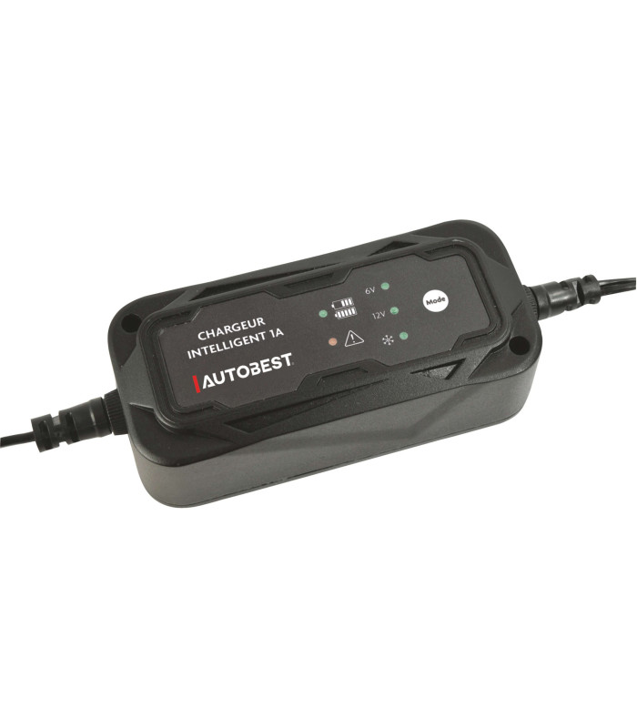 CHARGEUR ET MAINTIEN DE CHARGE AUTO 6/12V 1A
