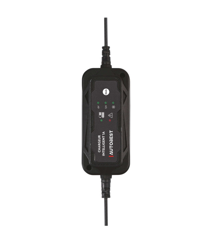 CHARGEUR ET MAINTIEN DE CHARGE AUTO 6/12V 1A