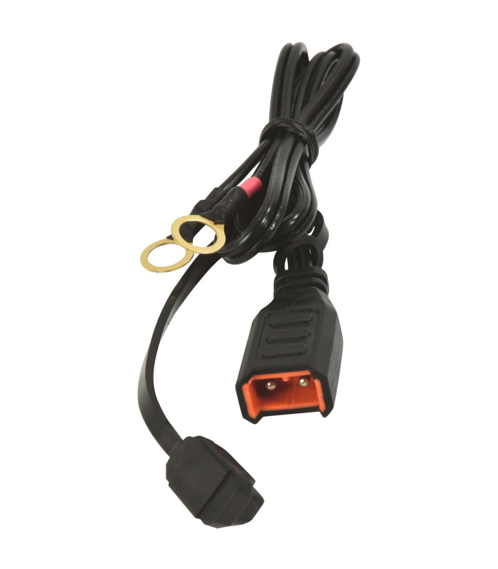 CHARGEUR ET MAINTIEN DE CHARGE AUTO 6/12V 1A