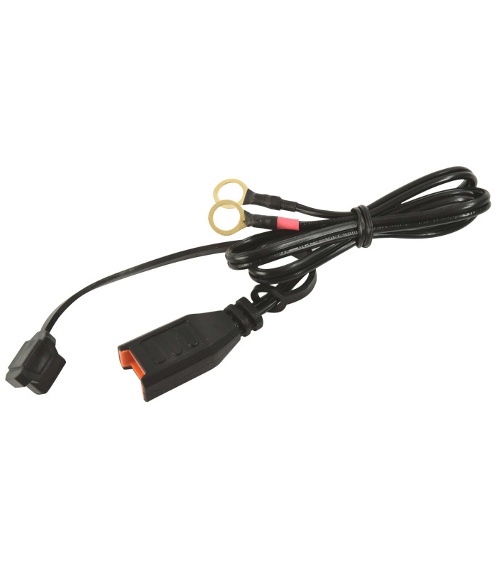 CHARGEUR ET MAINTIEN DE CHARGE AUTO 6/12V 1A
