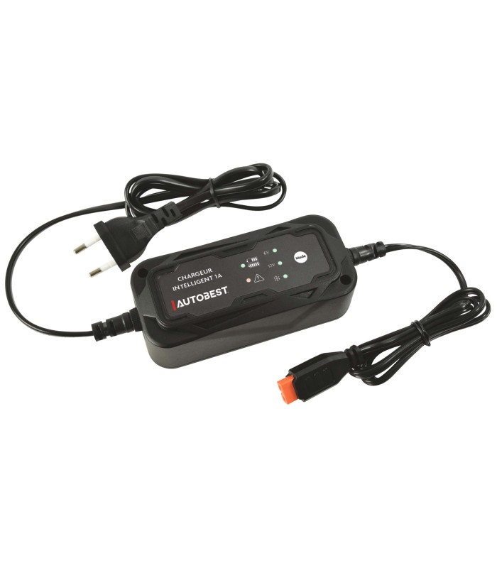 CHARGEUR ET MAINTIEN DE CHARGE AUTO 6/12V 1A
