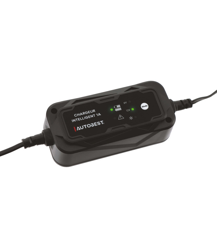 CHARGEUR ET MAINTIEN DE CHARGE AUTO 6/12V 1A