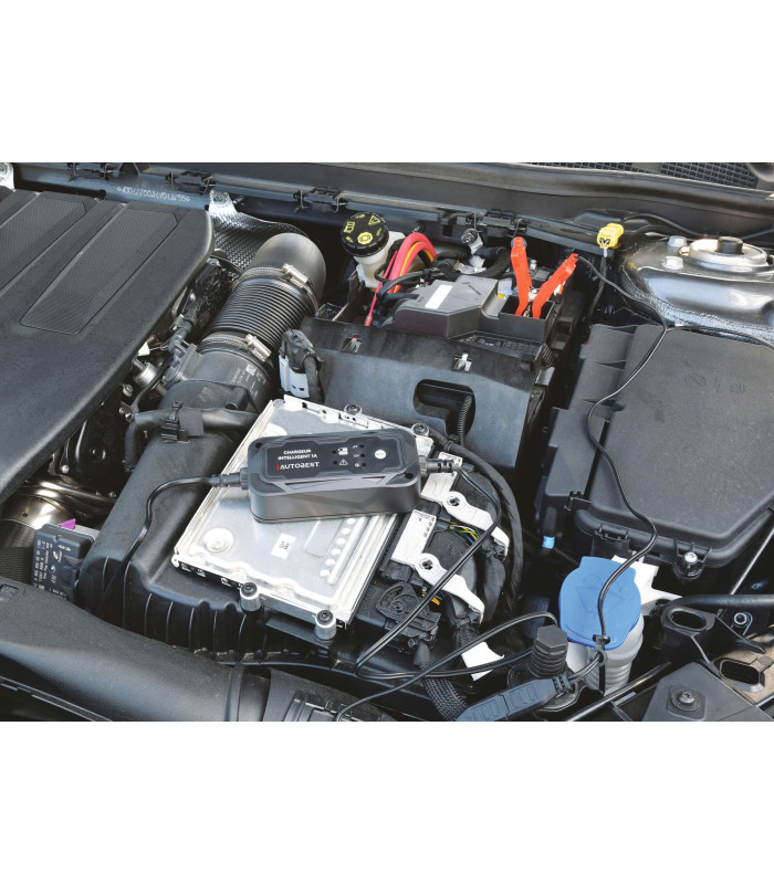 CHARGEUR ET MAINTIEN DE CHARGE AUTO 6/12V 1A