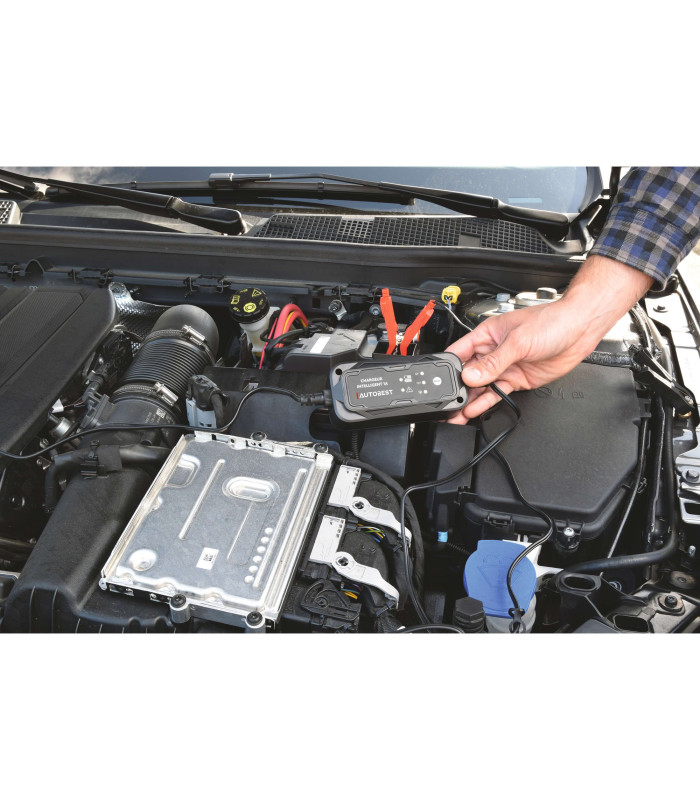 CHARGEUR ET MAINTIEN DE CHARGE AUTO 6/12V 1A